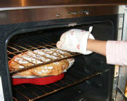 colomba xy26